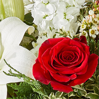Twinkle Lights Bouquet –  Love Blossoms Florist, Lexington NC