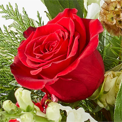 Deck the Halls Bouquet –  Love Blossoms Florist, Lexington NC