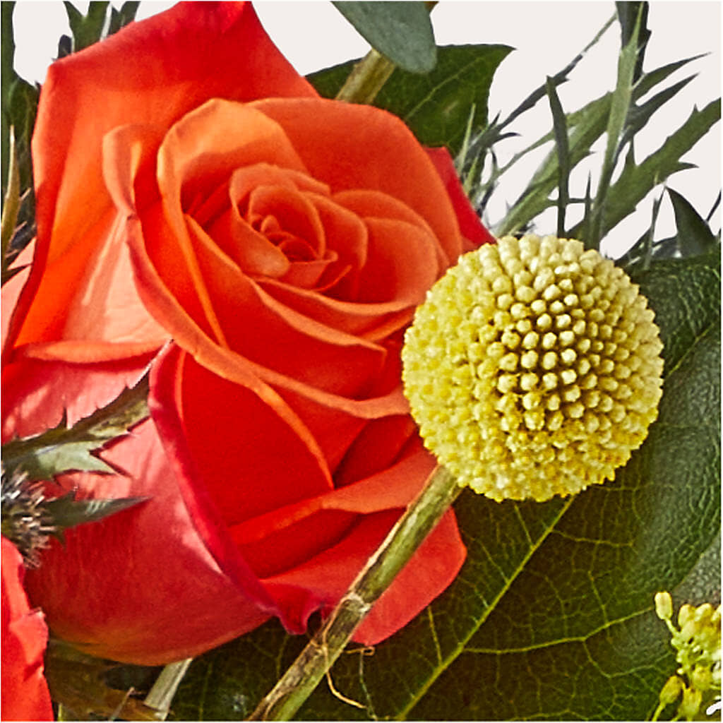 Disco Bouquet –  Love Blossoms Florist, Lexington NC