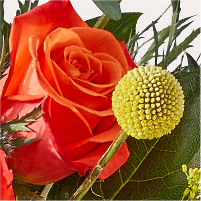 Disco Bouquet –  Love Blossoms Florist, Lexington NC