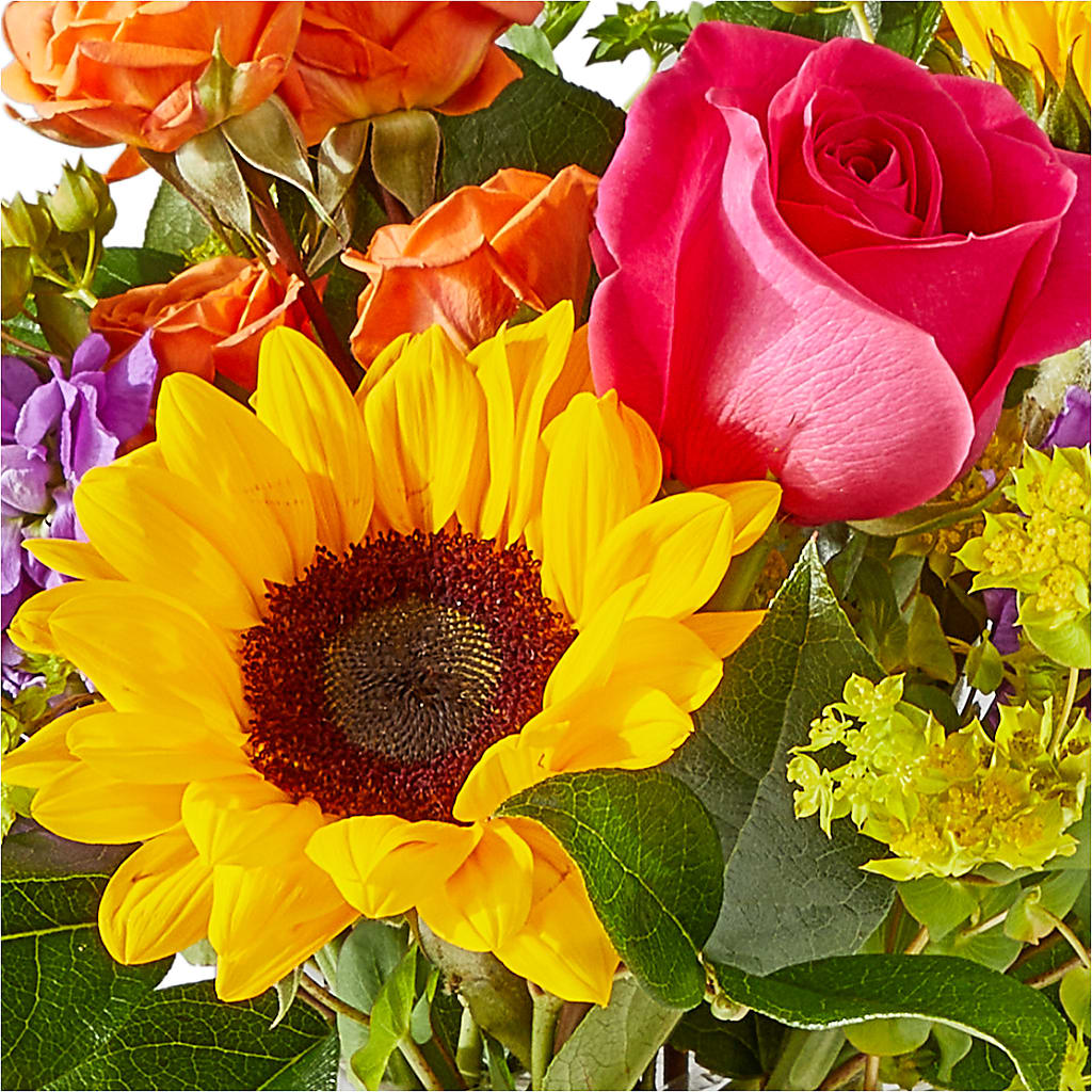Vibrant Greetings Bouquet –  Love Blossoms Florist, Lexington NC