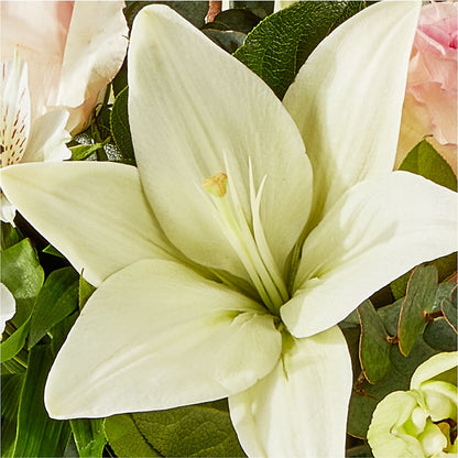 Ballet Slippers Bouquet –  Love Blossoms Florist, Lexington NC