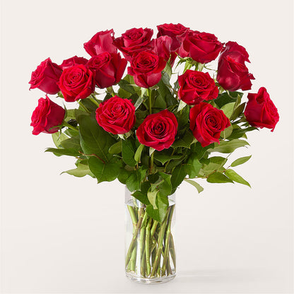 The One Red Rose Bouquet –  Love Blossoms Florist, Lexington NC