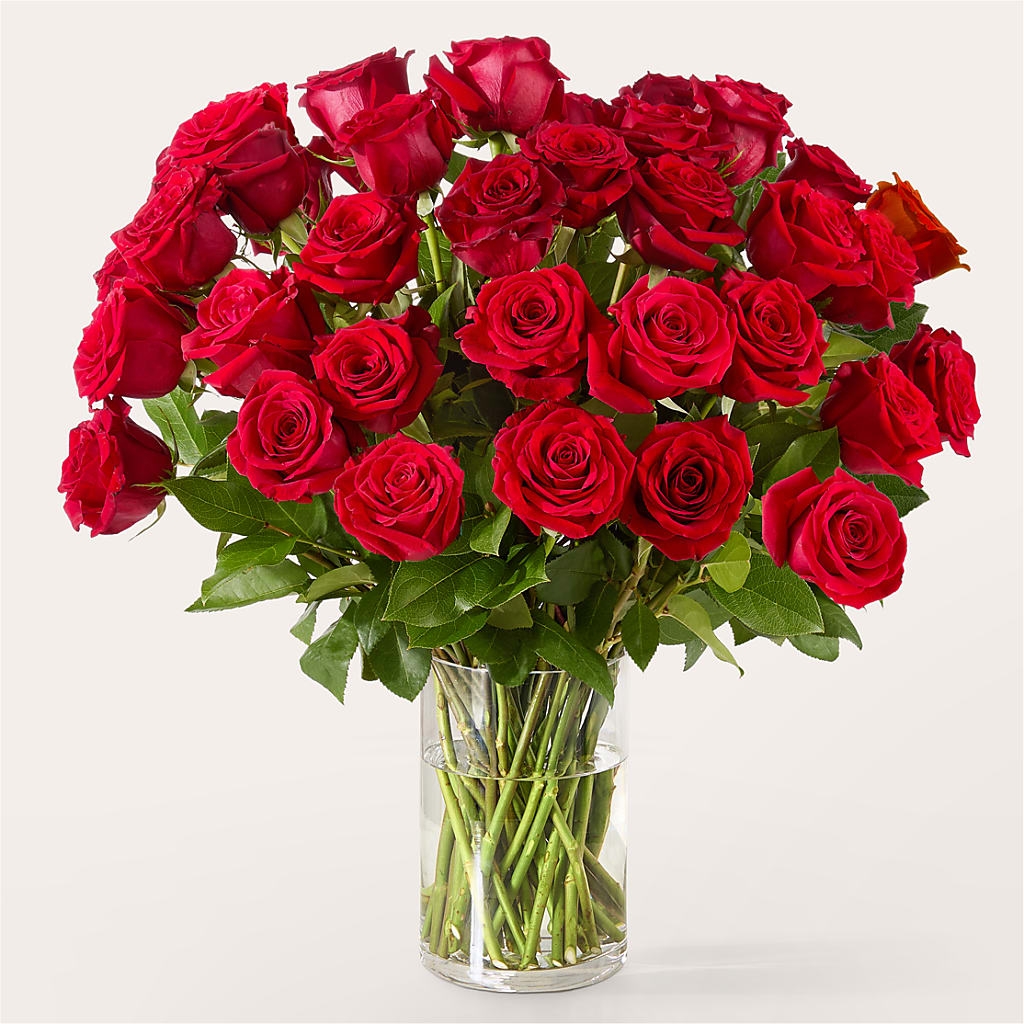 The One Red Rose Bouquet –  Love Blossoms Florist, Lexington NC
