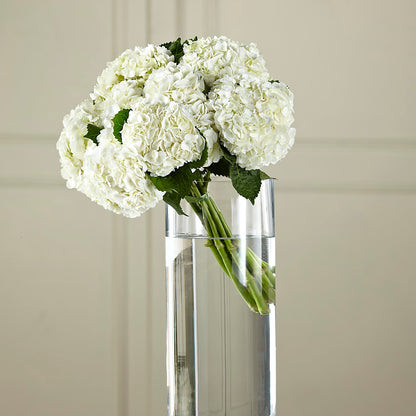 White Hydrangea Hand-Tied Bouquet –  Love Blossoms Florist, Lexington NC