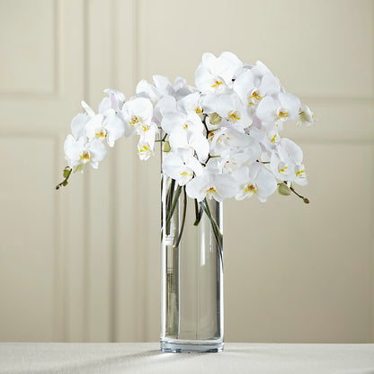 White Phalaenopsis Bouquet –  Love Blossoms Florist, Lexington NC