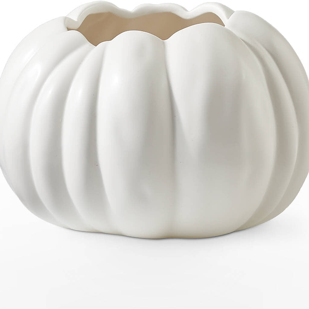 Pumpkin to Talk About Bouquet –  Love Blossoms Florist, Lexington NC